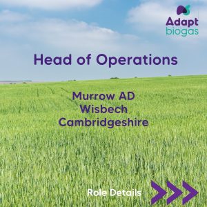 Head of Operations role