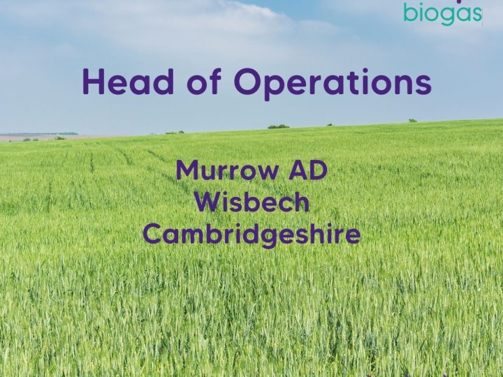 Head of Operations role