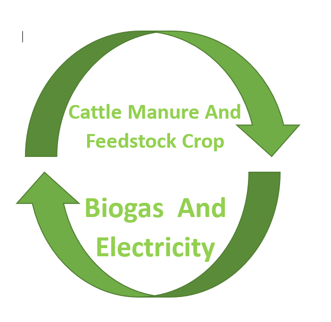 Anaerobic Digestion Process