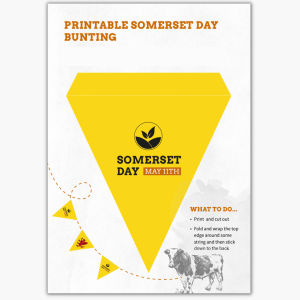 Somerset Day bunting, 11th May, Evercreech AD plant, Adapt Biogas