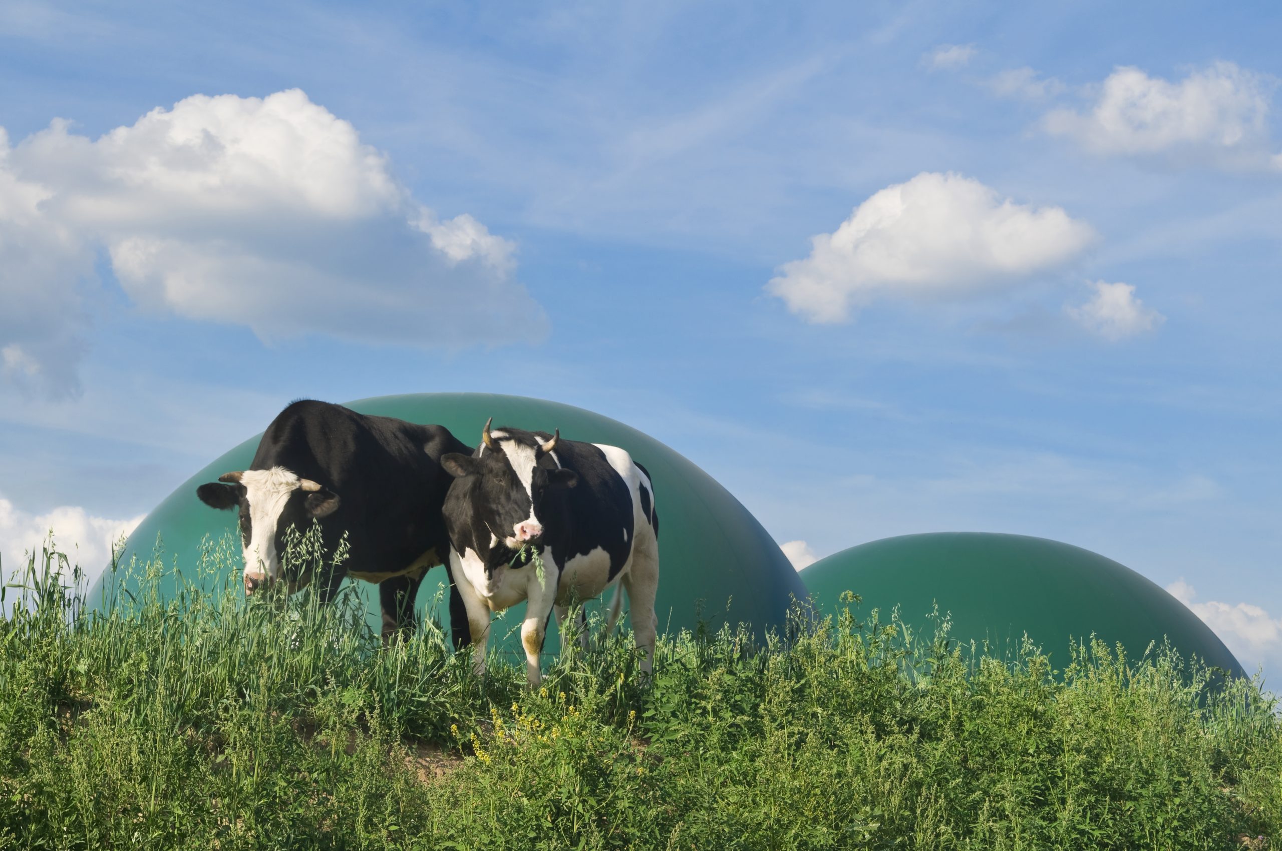 Greenlane Renewables Secures Service Contracts for U.S. Dairy Gas Sites